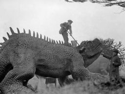 A model of a prehistoric animal at Crystal Palace, London, is given its annual scrub by one of the exhibition staff standing on its back and using a broom in February 1927.